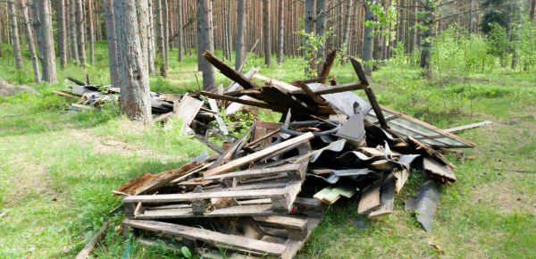 Debris Removal Service in Mount Pleasant