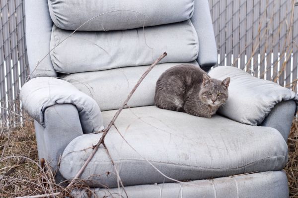 Recliner Disposal in Mount Pleasant